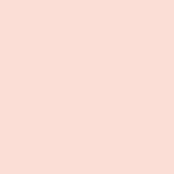BS381-453 Shell Pink Aerosol Paint